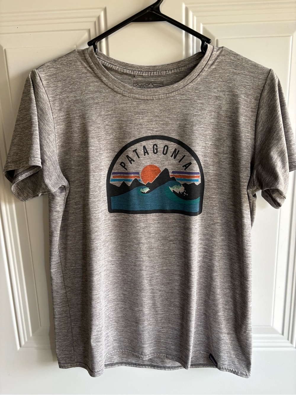 Patagonia Heather Gray Short Sleeve Tee with Sunset Mountain Graphic